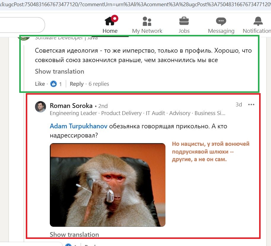 Soroka_Roman_001__SoR_041__-Linkedin.jpg